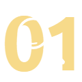 magnifying glass icon