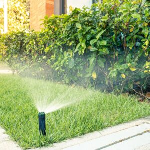 Sprinkler spraying grass and bush